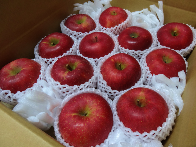 葉とらずりんごサンふじ特選１０キロ箱